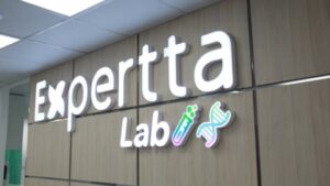 Unveiling the World of Expertta